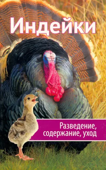Марина Романова - Индейки. Разведение, содержание, уход обложка книги