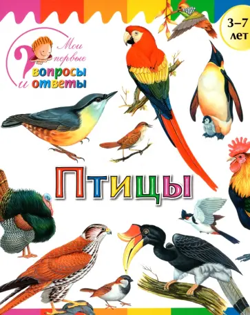 А. Орехов - Птицы обложка книги