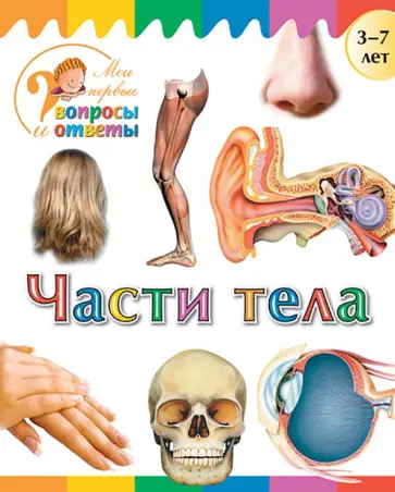 А. Орехов - Части тела обложка книги