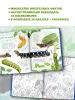 Миниатюра 5