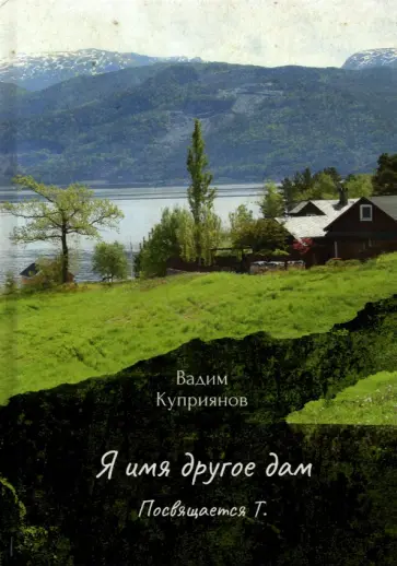Вадим Куприянов - Я имя другое дам обложка книги