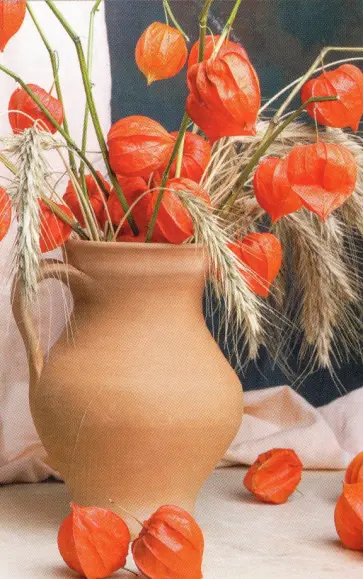 Раскрашивание по номерам Панно на подвесе. Физалис обложка книги