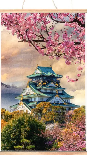 Раскрашивание по номерам Панно на подвесе. Цветущая сакура обложка книги