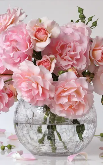 Раскрашивание по номерам Панно на подвесе. Букет роз обложка книги