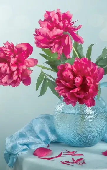 Раскрашивание по номерам Панно на подвесе. Яркие Пионы обложка книги