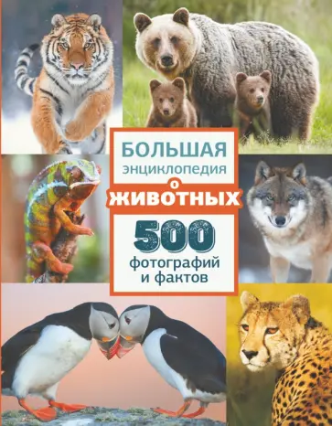 Ликсо, Вайткене - Большая энциклопедия о животных. 500 фотографий и фактов Ликсо, Вайткене - Большая энциклопедия о животных. 500 фотографий и фактов обложка книги