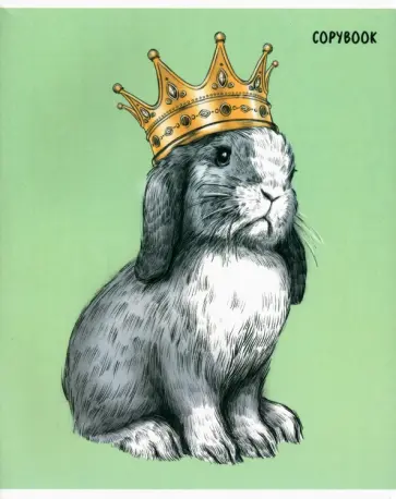 Тетрадь Кролики, 48 листов, клетка, в ассортименте обложка книги