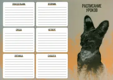 Расписание уроков Сервал, А4 Расписание уроков Сервал, А4 обложка книги