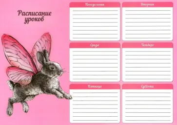 Расписание уроков Кролик-Бабочка, А4 Расписание уроков Кролик-Бабочка, А4 обложка книги
