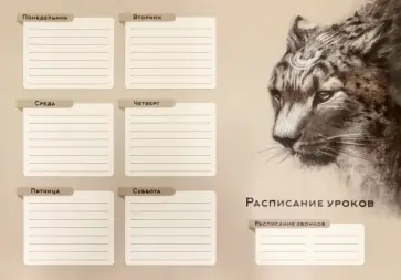 Расписание уроков Ирбис, А3 Расписание уроков Ирбис, А3 обложка книги