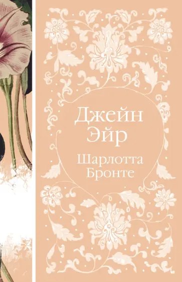 Шарлотта Бронте - Джейн Эйр Шарлотта Бронте - Джейн Эйр обложка книги