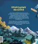 Миниатюра 3