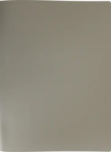 Папка на 2-х кольцах, серая, А4 обложка книги