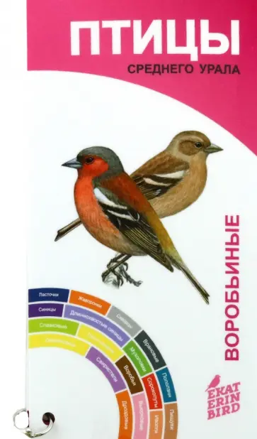 Вадим Рябицев - Птицы Среднего Урала. Воробьиные и неворобьиные. Веер-определитель обложка книги