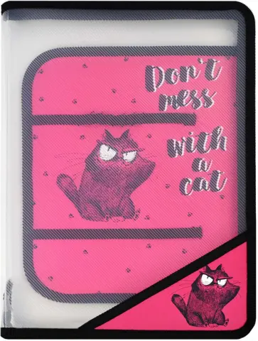 Папка для уроков труда Крэйзи кот, А4 обложка книги