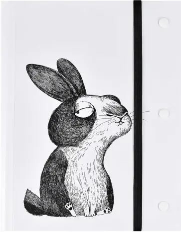 Папка для чертежей и рисунков Крэйзи Зайка, А5 обложка книги