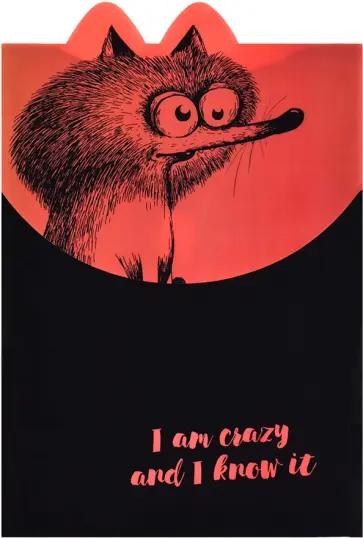 Папка для школьных тетрадей Белка, А4 обложка книги