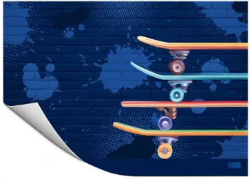 Плёнка цветная для уроков труда Скейтборды обложка книги