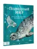 Миниатюра 2