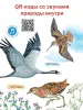 Миниатюра 5