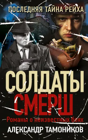 Александр Тамоников - Последняя тайна рейха обложка книги