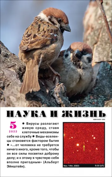 Журнал "Наука и жизнь" № 5. 2022 обложка книги