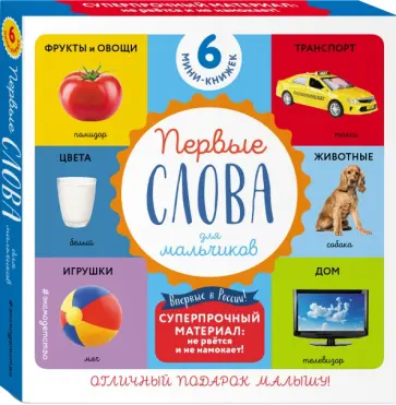 Комплект из 6 супер-прочных мини-книжек "Первые слова для самых маленьких" (для мальчиков) обложка книги