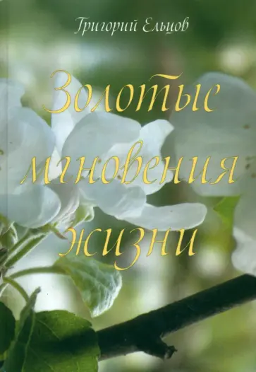 Григорий Ельцов - Золотые мгновения жизни Григорий Ельцов - Золотые мгновения жизни обложка книги