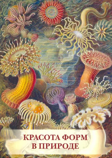 Набор открыток. Красота форм в природе Набор открыток. Красота форм в природе обложка книги