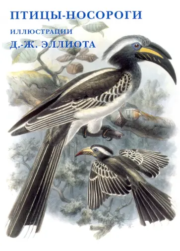 Набор открыток. Птицы-носороги. Илл. Д.-Ж. Эллиота Набор открыток. Птицы-носороги. Илл. Д.-Ж. Эллиота обложка книги