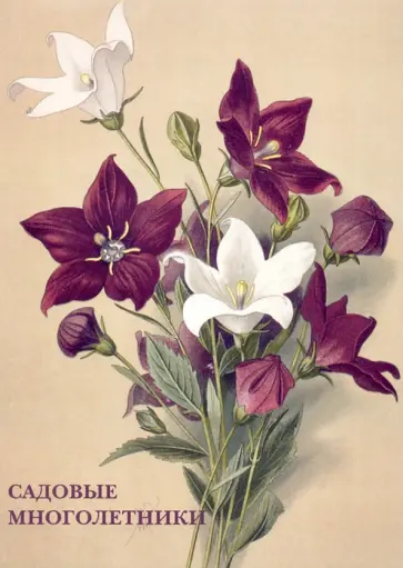 Набор открыток. Садовые многолетники обложка книги