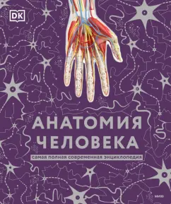 Секс шоп в СПб – Интим интернет-магазин укрепления семьи для взрослых «Розовый кролик»