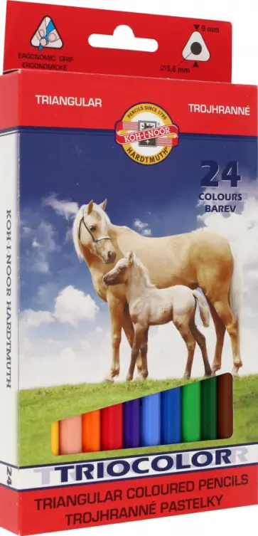 Карандаши цветные Triocolor, 24 цвета, утолщенные обложка книги