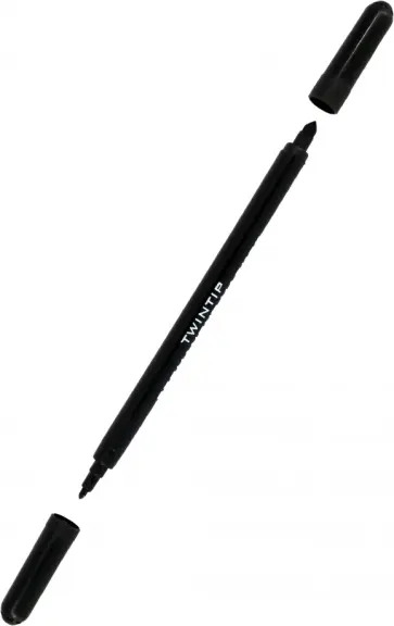 Маркер перманентный, двусторонний, черный обложка книги