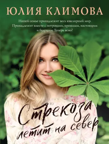 Юлия Климова - Стрекоза летит на север обложка книги