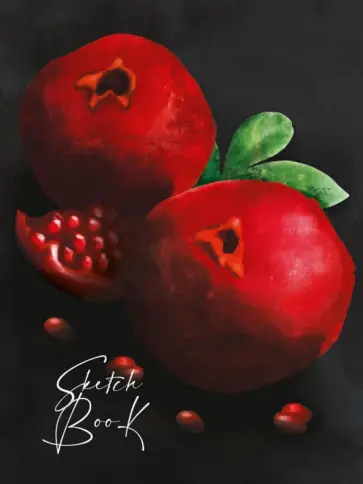 Скетчбук А5. Гранаты, 80 листов обложка книги