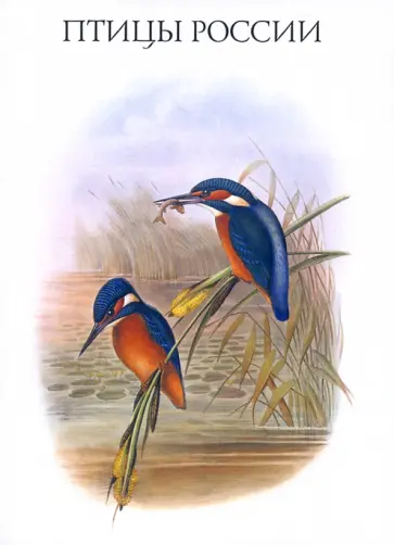 Набор открыток. Птицы России. Выпуск 1 Набор открыток. Птицы России. Выпуск 1 обложка книги