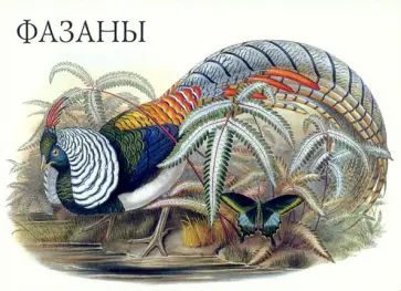 Набор открыток. Фазаны. Выпуск 1 Набор открыток. Фазаны. Выпуск 1 обложка книги