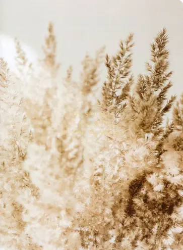 Тетрадь Nude. Трава, А4, 40 листов, клетка обложка книги