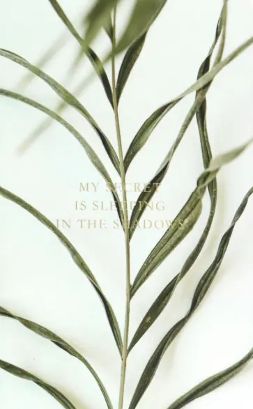 Блокнот Nude. Растение, 48 листов, линия обложка книги