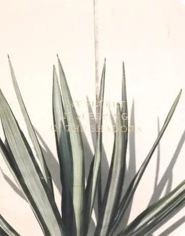 Блокнот Nude. Пальма, 32 листа, клетка обложка книги