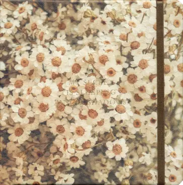 Скетчбук Nude. Цветы, 64 листа обложка книги