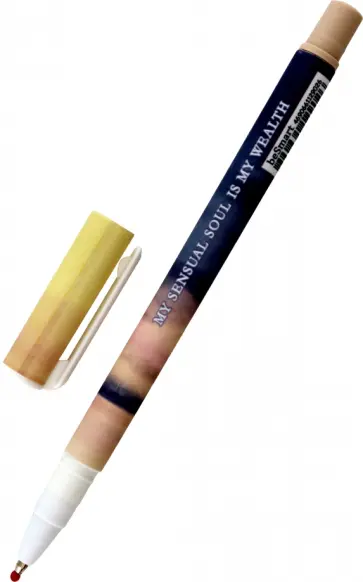 Ручка шариковая View. Бежевый, синяя обложка книги