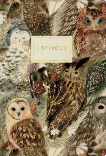 Тетрадь Волшебные совы, 40 листов, клетка обложка книги