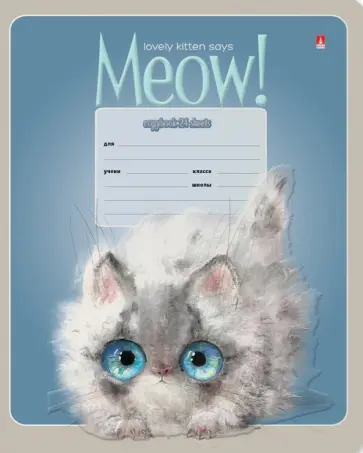 Тетрадь Kitty Life, 24 листа, линия, А5, в ассортименте обложка книги