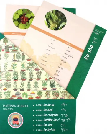 Набор карточек Материя Медика Сова Ригпа Набор карточек Материя Медика Сова Ригпа обложка книги