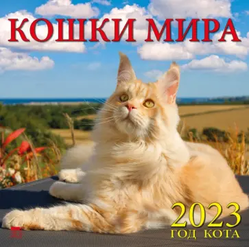 2023 Календарь Год кота. Кошки мира обложка книги