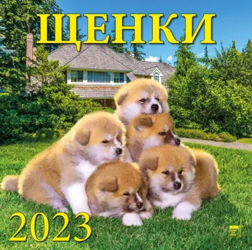 Календарь Щенки, на 2023 год обложка книги