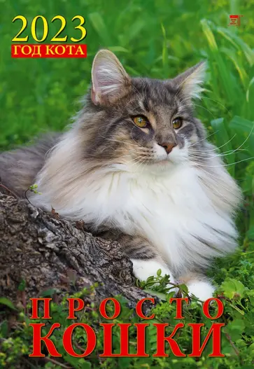 2023 Календарь Год кота. Просто кошки 2023 Календарь Год кота. Просто кошки обложка книги