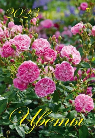 Календарь на 2023 год. Цветы Календарь на 2023 год. Цветы обложка книги